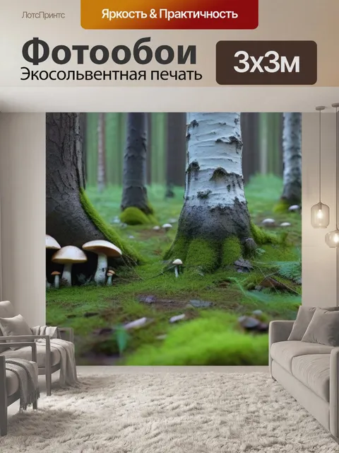 Фотообои берёзовый лес с грибами у подножия деревьев