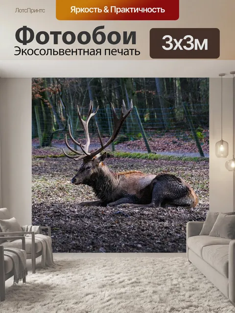 Фотообои Олень