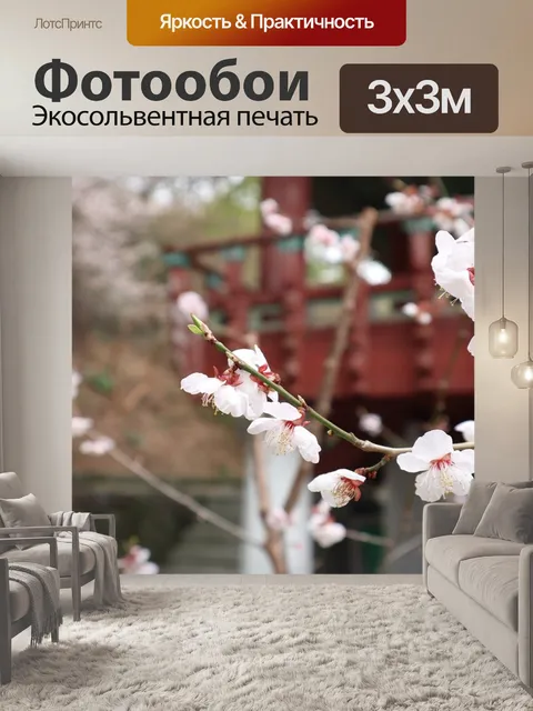 Фотообои Абрикос