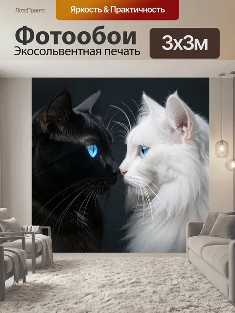 Фотообои Черный и белый коты нос к носу