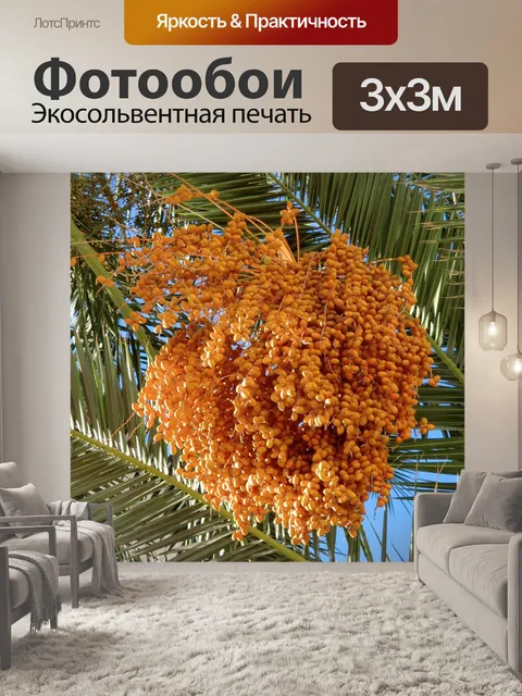 Фотообои Еда