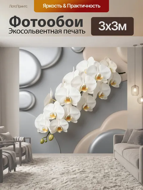 Фотообои Белая орхидея на сером фоне