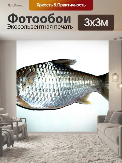 Фотообои Пресноводная рыба фото