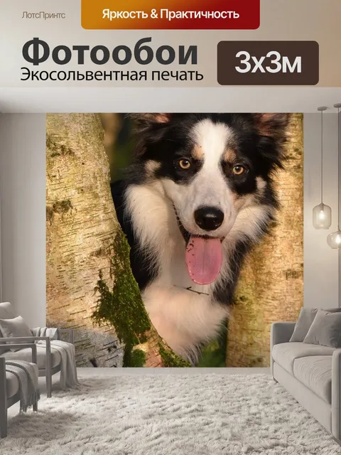 Фотообои Ствол дерева