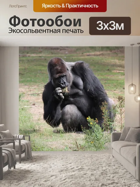 Фотообои Еда
