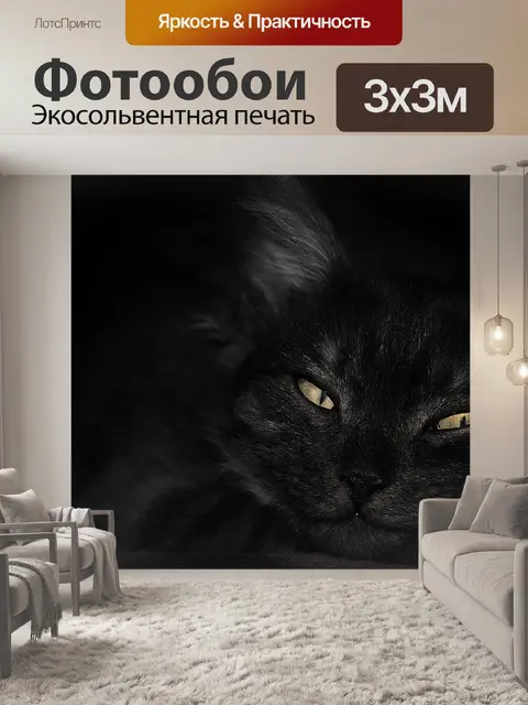 Фотообои Китти