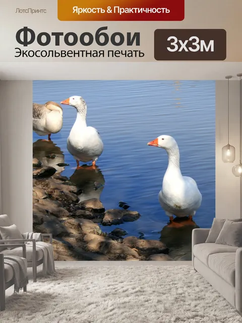Фотообои гуси в пруду