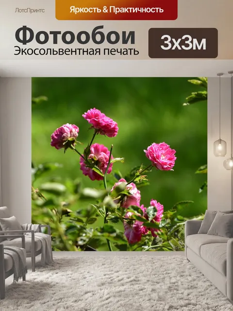 Фотообои Розы