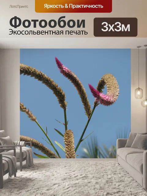 Фотообои Цветок