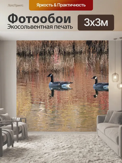 Фотообои Птица