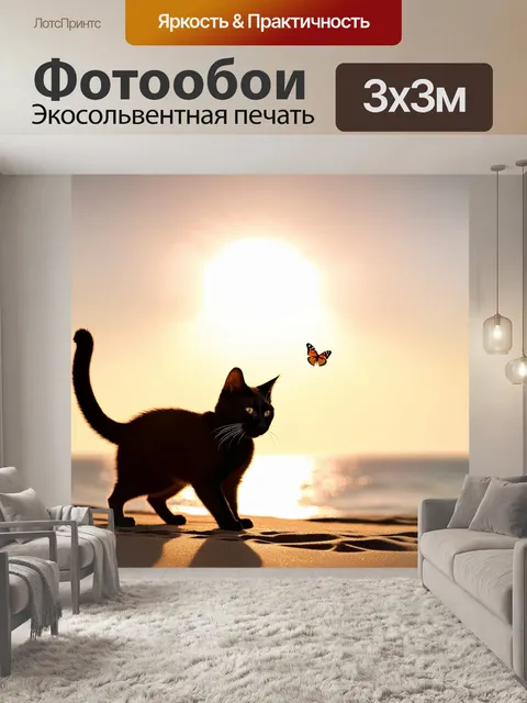 Фотообои черный кот, который охотится на бабочку на побережье в золотых лучах заката