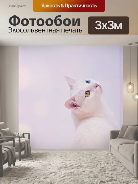 Фотообои Кошка