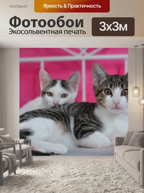 Фотообои Кошка кошки