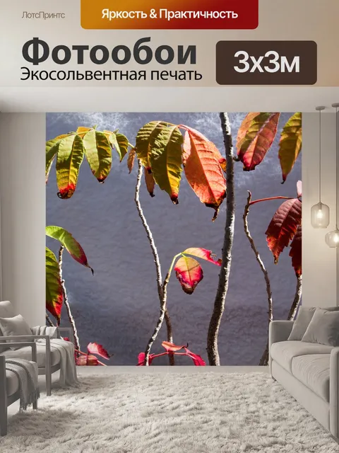Фотообои Цветок