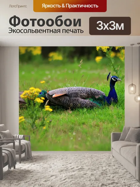 Фотообои Павлин