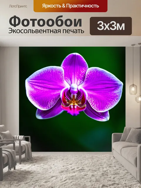 Фотообои орхидея в мечтательном стиле, размытые формы