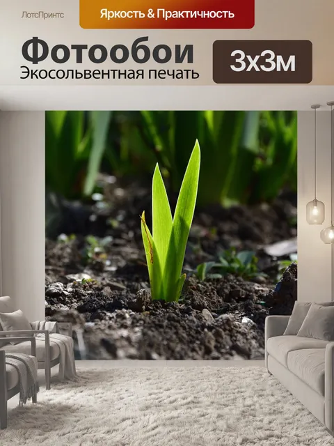 Фотообои Листья