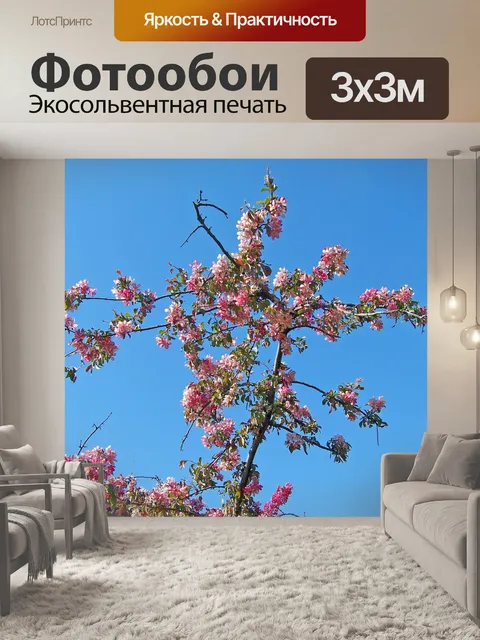 Фотообои Расцветает