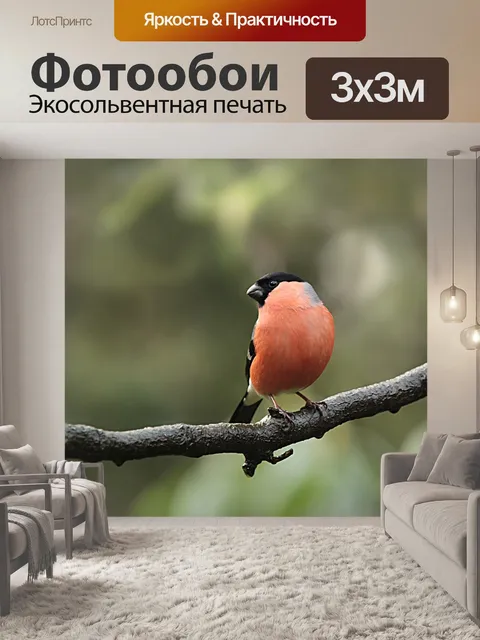 Фотообои Животное