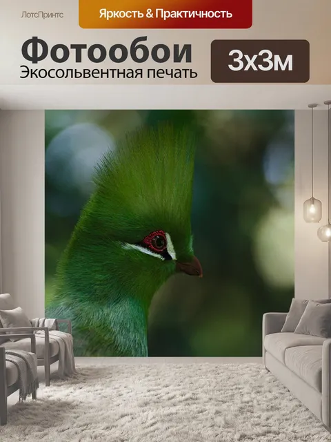 Фотообои Птица