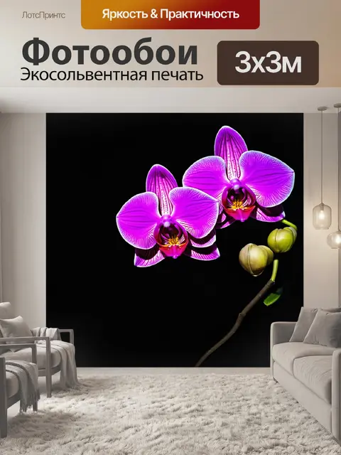 Фотообои цветы в стиле нуар, с изображением орхидей в тени, передающих экзотическую красоту и таинственность