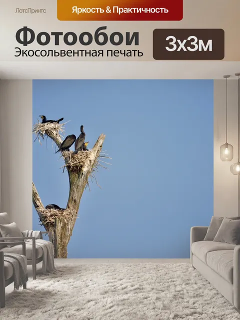 Фотообои Птицы