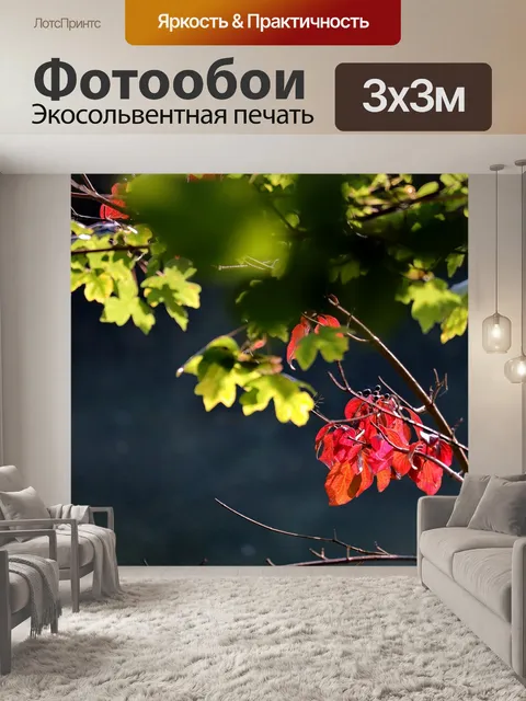 Фотообои Падение