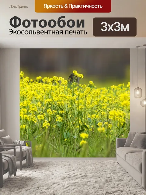 Фотообои Цветы горчицы