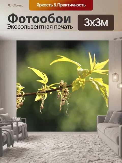 Фотообои Wiosennie