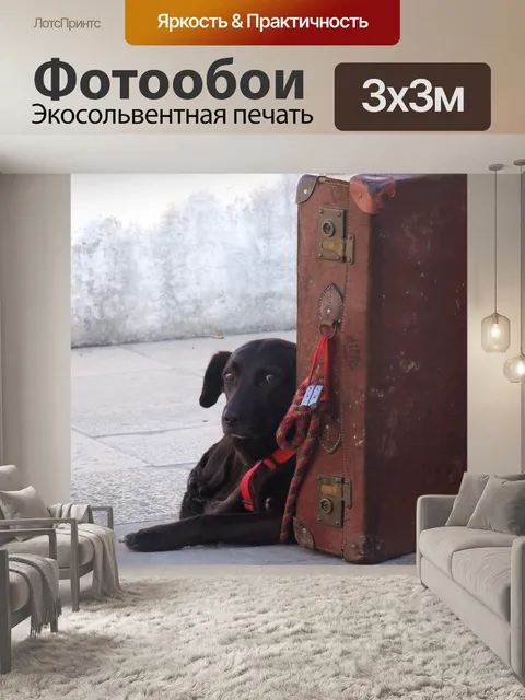 Фотообои Ждать