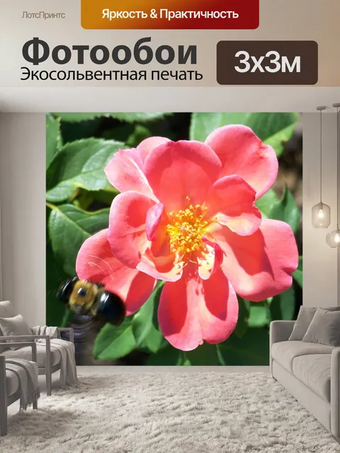 Фотообои Розы
