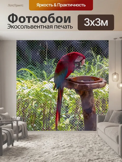 Фотообои Красный попугай
