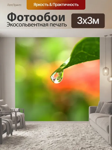 Фотообои Капля воды на листе