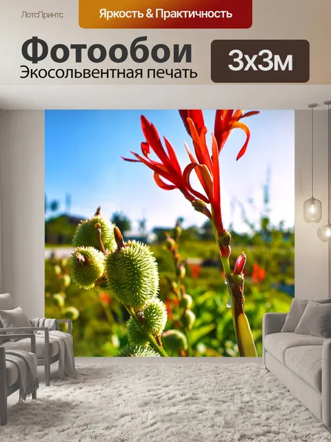 Фотообои Природа