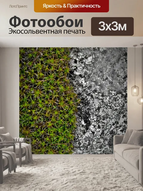 Фотообои Мох