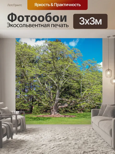 Фотообои Дерево