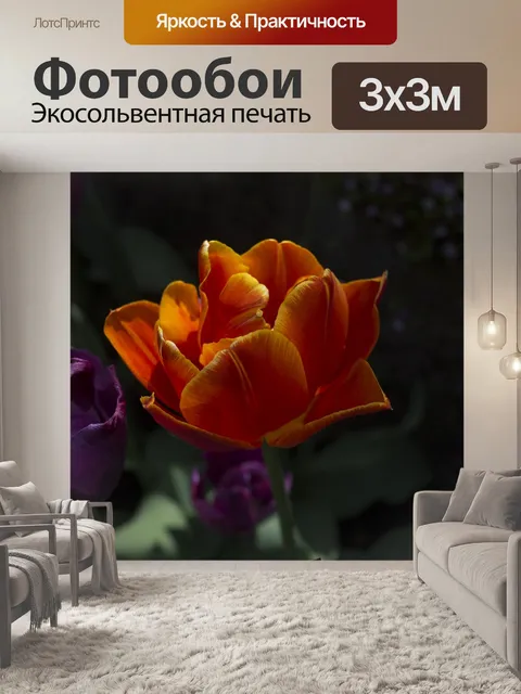 Фотообои Тюльпаны