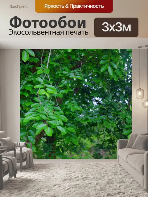Фотообои Деревья и листья 46