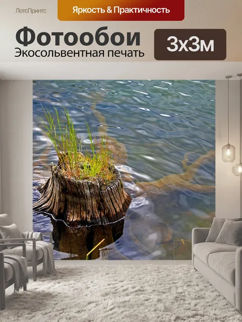 Фотообои Пень