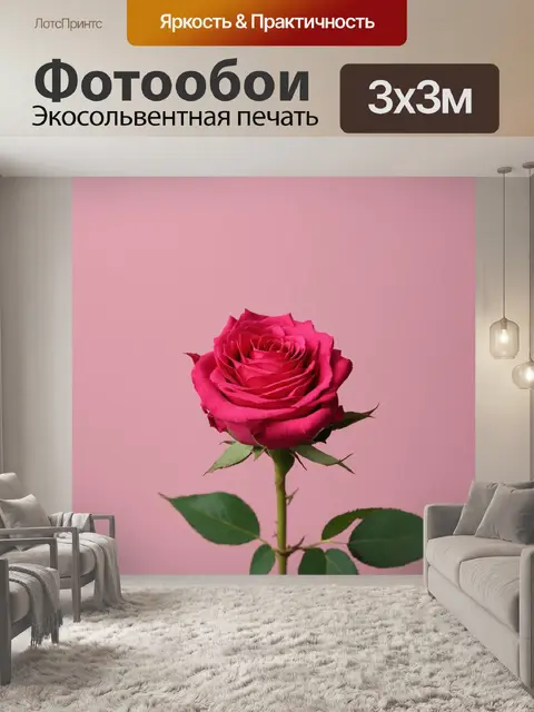 Фотообои розы в стиле минимализм