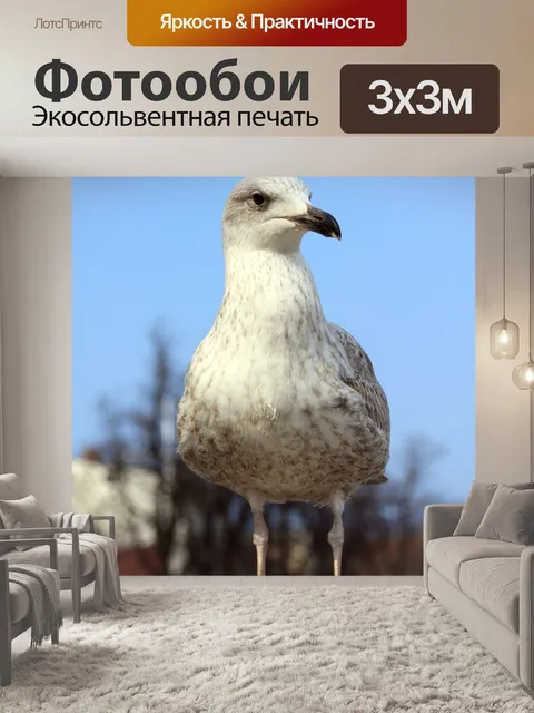 Фотообои Море