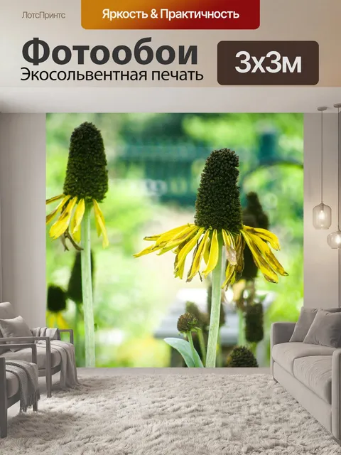 Фотообои Цветы