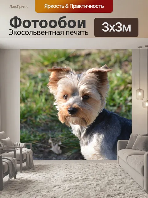 Фотообои Йорк
