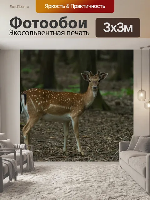 Фотообои Олень