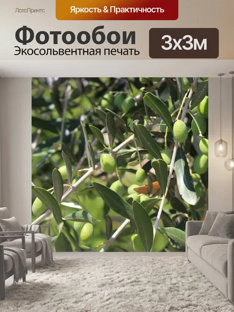 Фотообои Оливковый