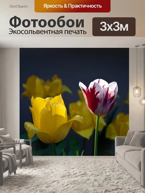 Фотообои Тюльпаны