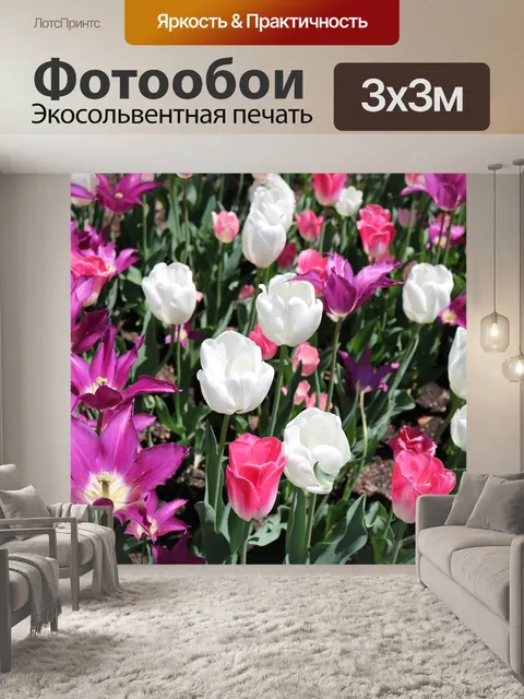 Фотообои Тюльпаны