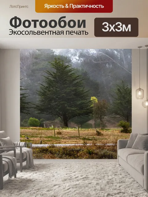 Фотообои Сельский ходьба
