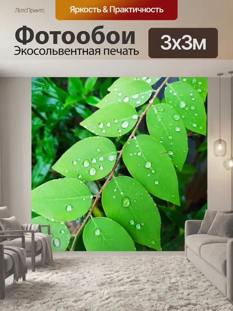 Фотообои Лист