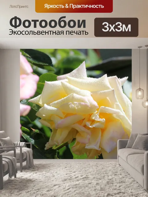 Фотообои Роза